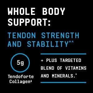 imageBEYOND RAW Dynamic Gainer HighTech Mass Gainer Optimized Absorption Enhanced Strength and Joint Stability Chocolate clair 15 ServingsChocolate Eclair