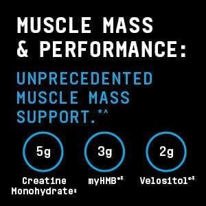 imageBEYOND RAW Dynamic Gainer HighTech Mass Gainer Optimized Absorption Enhanced Strength and Joint Stability Chocolate clair 15 ServingsVanilla Cheesecake