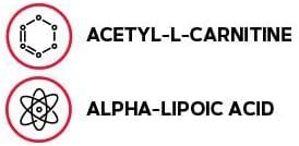 imageGNC AcetylLCarnitine AlphaLipoic Acid 500mg Supports Positive Mood Balance 60 Count